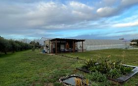 Terra Sana Casita